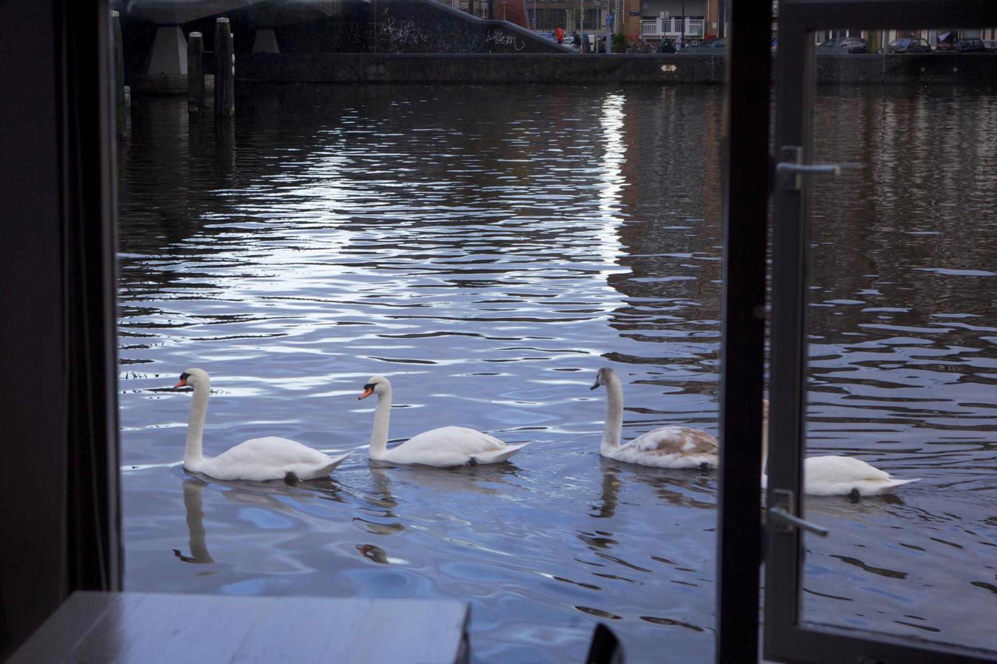 Hotel Houseboat Little Amstel Amsterdam Esterno foto